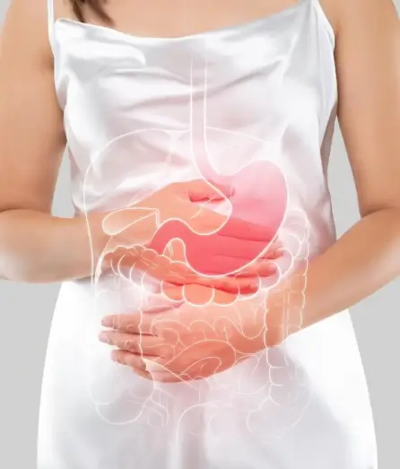 SupraGut 70 Herbal Ingredients